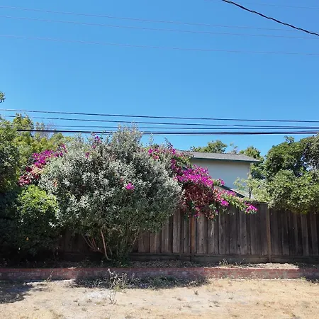 Great Stay In South San Jose Exterior photo
